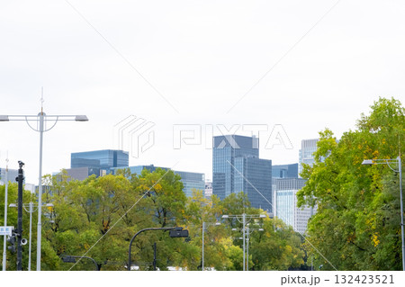 緑のある都市風景 132423521