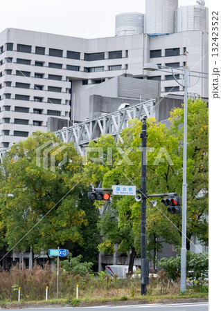 緑のある都市風景 132423522