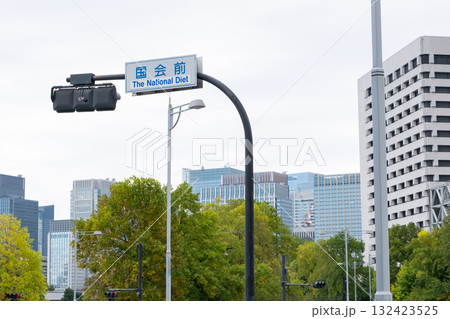 緑のある都市風景 緑のある都市風景 132423525