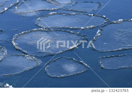 知床の海のハスの葉氷 132423765