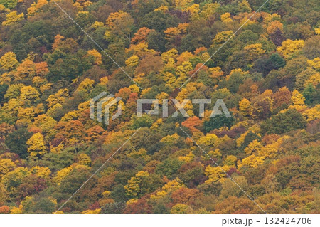 色付いた山肌 132424706