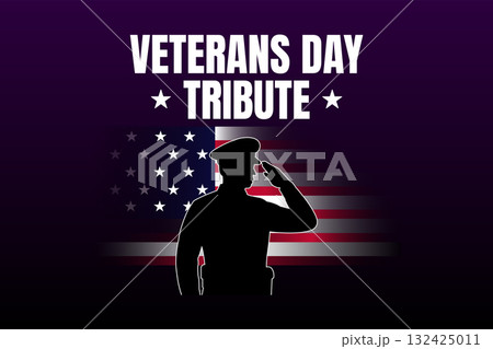 veterans day tribute honoring american heroes 132425011