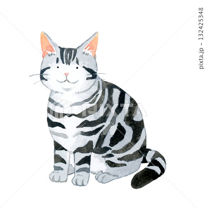 座る猫（アメリカンショートヘアー）　ペット・動物の手描き水彩イラスト素材 132425348