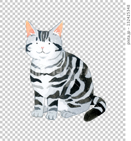 座る猫（アメリカンショートヘアー）　ペット・動物の手描き水彩イラスト素材 132425348