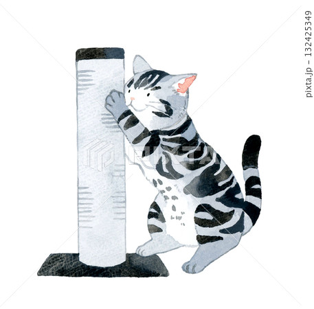 爪とぎポールで爪を研ぐ猫(アメリカンショートヘアー) ペット・動物の手描き水彩イラスト素材 爪とぎポールで爪を研ぐ猫(アメリカンショートヘアー) ペット・動物の手描き水彩イラスト素材 132425349