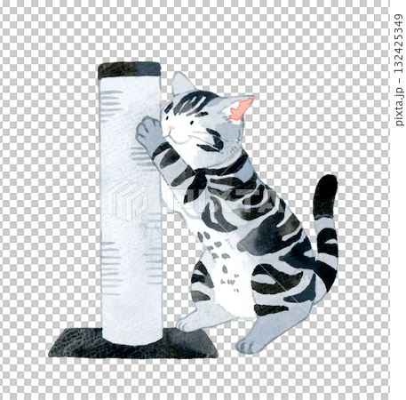 爪とぎポールで爪を研ぐ猫(アメリカンショートヘアー) ペット・動物の手描き水彩イラスト素材 爪とぎポールで爪を研ぐ猫(アメリカンショートヘアー) ペット・動物の手描き水彩イラスト素材 132425349