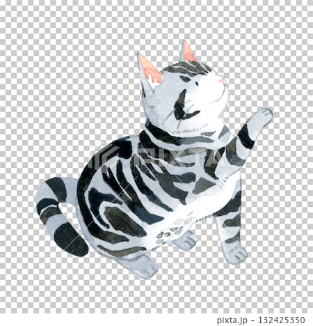 座って前足を上げる猫（アメリカンショートヘアー）　ペット・動物の手描き水彩イラスト素材 132425350
