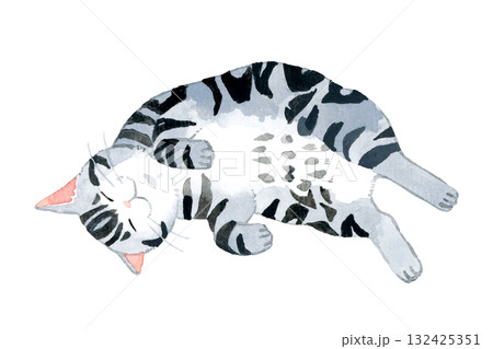 幸せそうに寝転がる猫（アメリカンショートヘアー）　ペット・動物の手描き水彩イラスト素材 132425351