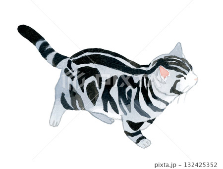 歩く猫（アメリカンショートヘアー）　ペット・動物の手描き水彩イラスト素材 132425352