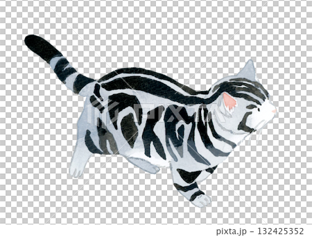 歩く猫（アメリカンショートヘアー）　ペット・動物の手描き水彩イラスト素材 132425352