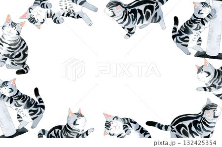 猫（アメリカンショートヘアー）のフレーム　動物・ペットの手描き水彩イラスト背景素材 132425354