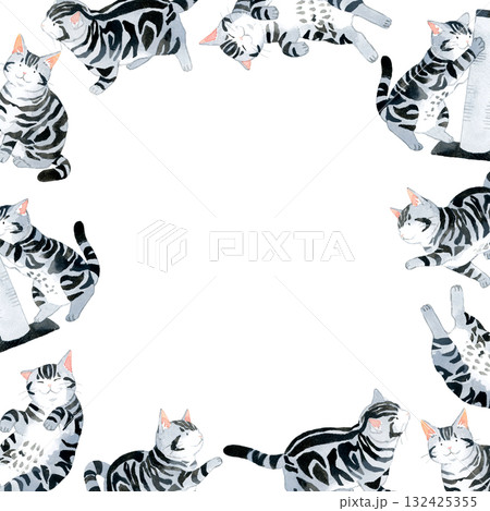 猫（アメリカンショートヘアー）のフレーム　動物・ペットの手描き水彩イラスト背景素材 132425355