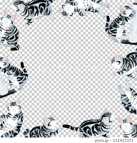 猫（アメリカンショートヘアー）のフレーム　動物・ペットの手描き水彩イラスト背景素材 132425355