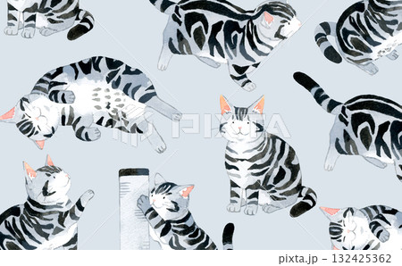 猫（アメリカンショートヘアー）の背景　動物・ペットの手描き水彩イラスト素材 132425362