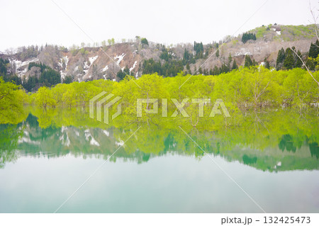 山形県白川湖の水没林 132425473