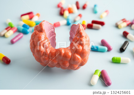 Thyroid model with pill drug treatment, Hyperthyroidism, Overactive or Lymphoma. 132425601