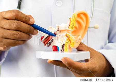 Asian doctor holding human ear model to learn and treat hearing loss in patient. 132425603