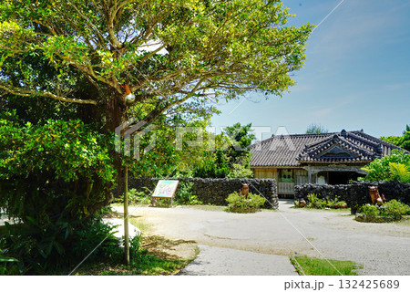 ガジュマルの木と家 132425689