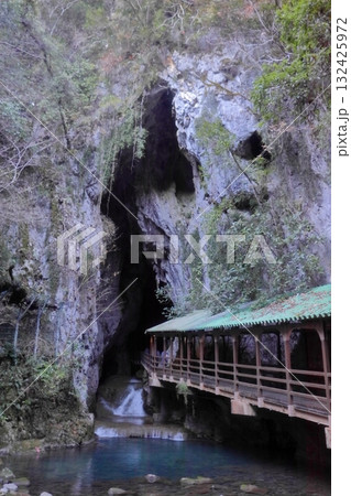 秋吉台の鍾乳洞 秋芳洞入口(山口県美祢市) 秋吉台の鍾乳洞 秋芳洞入口(山口県美祢市) 132425972