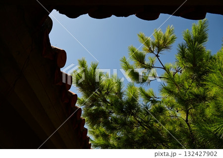 リュウキュウマツの木洩れ日と瓦屋根 リュウキュウマツの木洩れ日と瓦屋根 132427902
