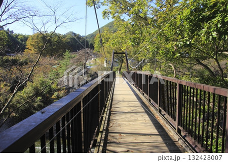 水上温泉諏訪峡2 水上温泉諏訪峡2 132428007