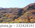 天神平紅葉 132428191