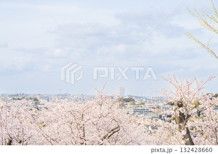 桜並木がある風景 132428660