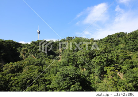 久能山東照宮 静岡県 駿河 集約電波塔 日本平デジタルタワー 久能山東照宮 静岡県 駿河 集約電波塔 日本平デジタルタワー 132428896