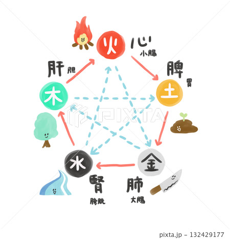 陰陽五行論の五臓五腑の相関図 陰陽五行論の五臓五腑の相関図 132429177