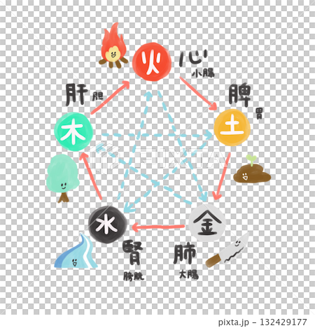 陰陽五行論の五臓五腑の相関図 陰陽五行論の五臓五腑の相関図 132429177