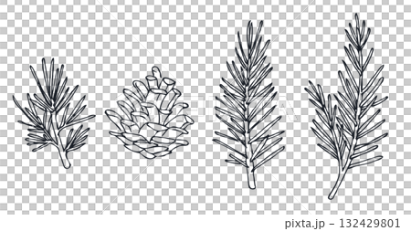 簡單植物（松果）線描插圖 132429801