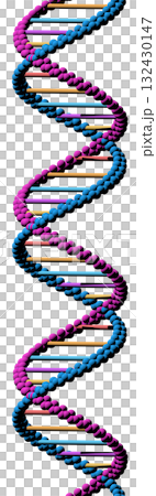 DNA DNA 132430147