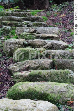 比叡山延暦寺の境内の石の階段 132431297
