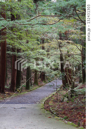 比叡山延暦寺境内の緑に覆われた道 132431303