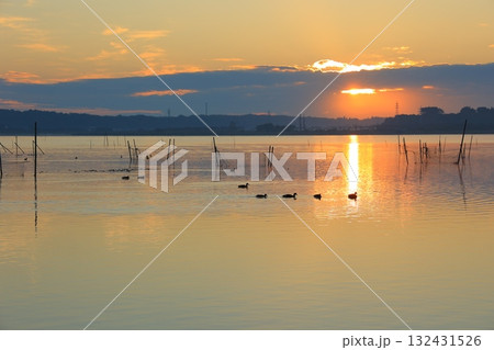 水面に映る朝日 132431526