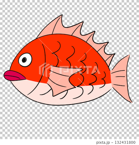 鯛のイラスト 鯛のイラスト 132431800