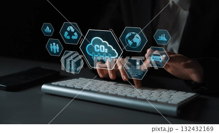 Carbon Emission Reduction for Sustainable Development Marrow 132432169