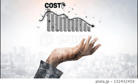 Digital Cost Reduction Strategy for Business Optimization Muxer 132432458