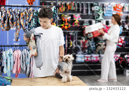Teenage boy chooses clothes for Yorkshire terrier in pet store Teenage boy chooses clothes for Yorkshire terrier in pet store 132433122