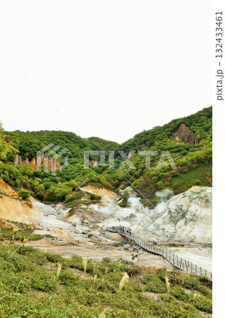 北海道　登別　地獄谷の風景 132433461