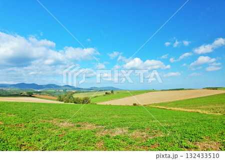 北海道　秋の青空と美瑛の風景 132433510