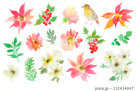 手書き水彩のポインセチア、アネモネ、バラ、柊、ロビンのPNGクリップアートセット 132434847