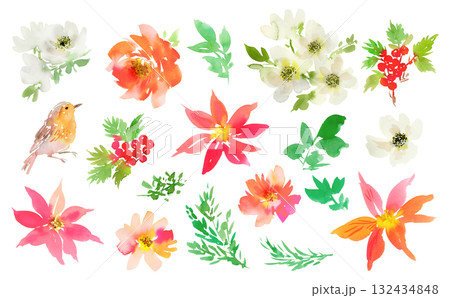 ベクター、水彩、クリップアート、柊、ポインセチア、バラ、アネモネ、ロビン、鳥、草、草花、綺麗、葉、赤 132434848