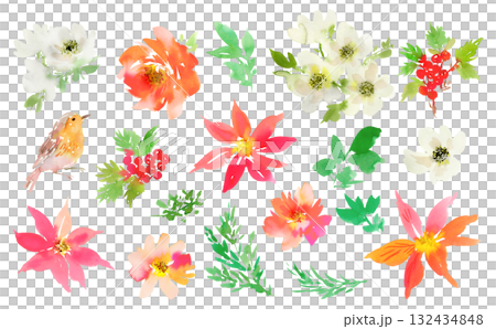 ベクター、水彩、クリップアート、柊、ポインセチア、バラ、アネモネ、ロビン、鳥、草、草花、綺麗、葉、赤 132434848