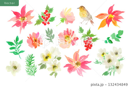 手書き水彩のポインセチア、アネモネ、バラ、柊、ロビンのベクタークリップアートセット 132434849