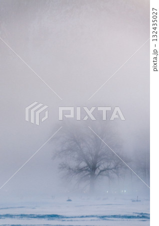 Sunset In Yosemite 132435027