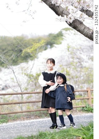 桜と入園式を迎えた3歳の女の子と9歳の姉 桜と入園式を迎えた3歳の女の子と9歳の姉 132435742