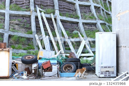 ゴミ捨て場を歩く野良猫 132435966