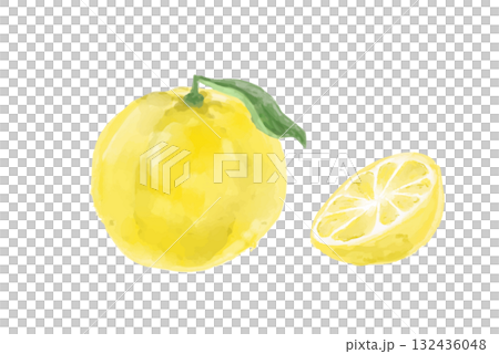Delicious watercolor illustration of yuzu 132436048