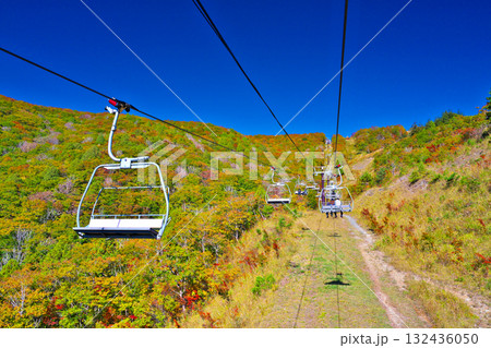 紅葉の白馬岩岳マウンテンリゾート 紅葉の白馬岩岳マウンテンリゾート 132436050